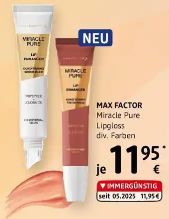 dm Max factor Miracle Pure Lipgloss Angebot