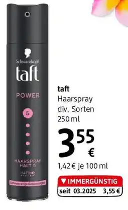 dm taft Haarspray Angebot