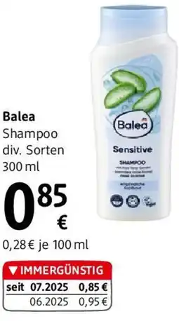 dm Balea Shampoo Angebot