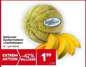 Billa SanLucar Zuckermelone Cantaloupe Angebot