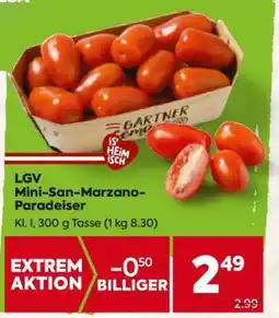 Billa LGV Mini-San-Marzano-Paradeiser Angebot