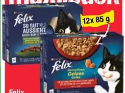 Maximarkt Purina Felix Katzennahrung Angebot