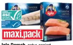 Maximarkt Iglo Zander Angebot
