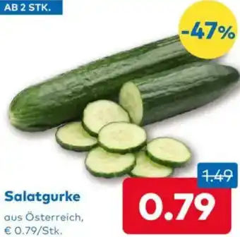 T&G Salatgurke Angebot