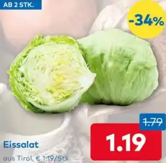 T&G Eissalat Angebot