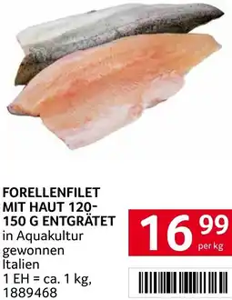 Transgourmet Forellenfilet mit haut Angebot