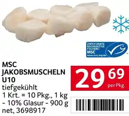 Transgourmet Msc jakobsmuscheln Angebot