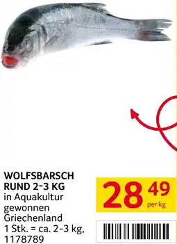 Transgourmet Wolfsbarsch rund Angebot