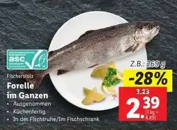 Lidl Forelle im Ganzen Angebot