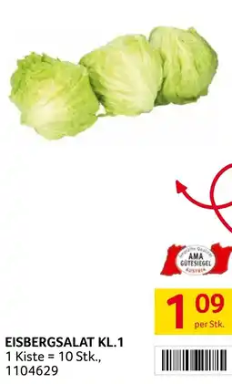 Transgourmet Eisbergsalat kl.1 Angebot