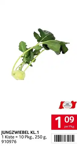 Transgourmet Jungzwiebel kl.1 Angebot