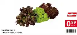 Transgourmet Salatmix kl.1 Angebot