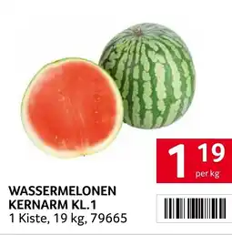 Transgourmet Wassermelonen kernarm kl.1 Angebot