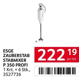 Transgourmet Esge zauberstab stabmixer p 350 profi Angebot