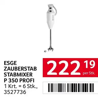 Transgourmet Esge zauberstab stabmixer p 350 profi Angebot