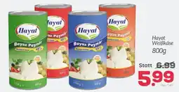 ETSAN Hayat weißkäse Angebot