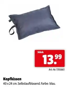 Eurogast Grissemann Kopfkissen Angebot