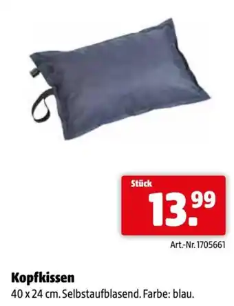 Eurogast Grissemann Kopfkissen Angebot