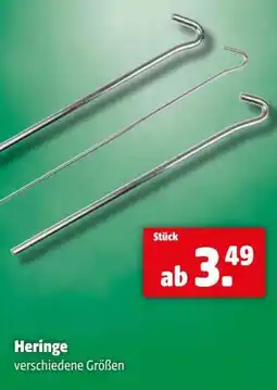 Eurogast Grissemann Heringe Angebot