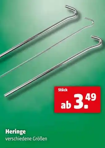 Eurogast Grissemann Heringe Angebot