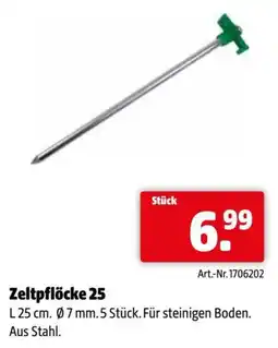 Eurogast Grissemann Zeltpflöcke 25 Angebot