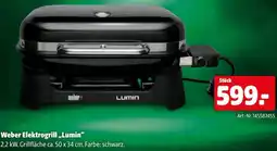 Eurogast Grissemann Weber elektrogrill,,lumin Angebot