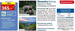 Lidl Slowenien Kočevje Angebot