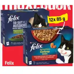 Maximarkt Felix Katzennahrung versch. Sorten Maximarkt Angebot