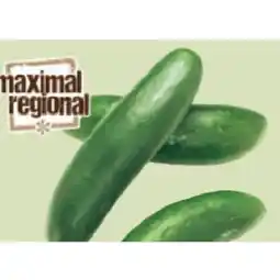 Maximarkt Feldgurken Maximarkt Angebot