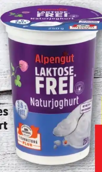 Lidl Alpengut Naturjoghurt Angebot