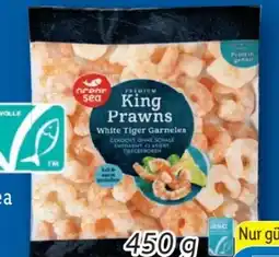 Lidl Ocean Sea Premium King Prawns Angebot