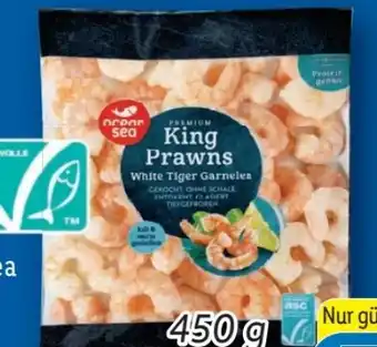 Lidl Ocean Sea Premium King Prawns Angebot