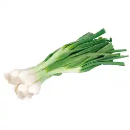 Unimarkt Jungzwiebel Unimarkt Angebot