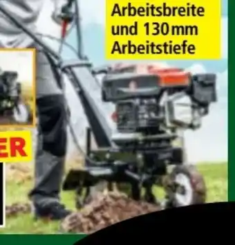 Norma Einhell Benzinmotorhacke MTP370 Angebot