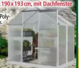 Norma Green Yard Alu-Gewächshaus Boston Angebot