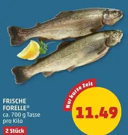 PENNY Frische forelle Angebot