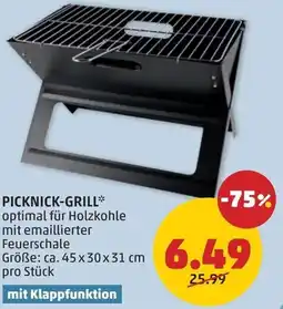 PENNY Picknick-grill Angebot