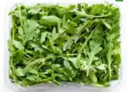 MPreis Rucola Angebot