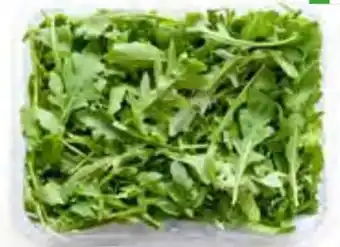MPreis Rucola Angebot