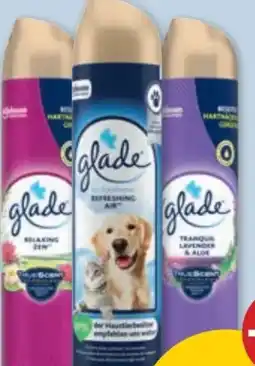 PENNY Glade by Brise Raumspray Angebot