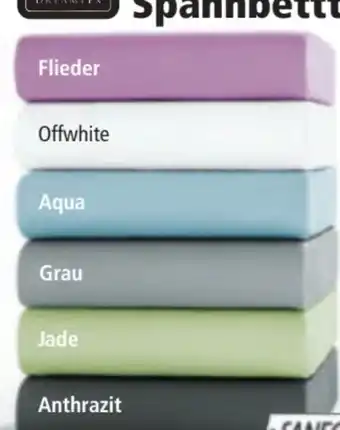 Norma Dreamtex Jersey-Spannbetttuch Angebot