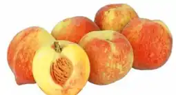 Transgourmet Pfirsiche Angebot