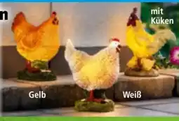 Norma I-Glow LED-Solar-Huhn Angebot