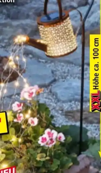 Norma I-Glow LED-Solar-Gießkanne Angebot