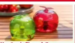 Norma Glas-Fruchtfliegenfalle Angebot