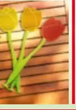 Norma Powertec Garden Fliegenklatsche Tulpe Angebot