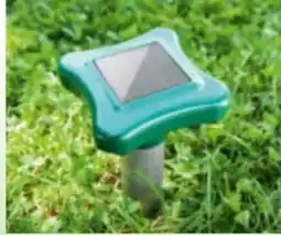 Norma Gardigo Solar-Ameisenabwehr Angebot