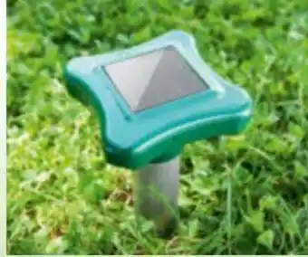 Norma Gardigo Solar-Ameisenabwehr Angebot