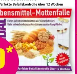 Norma Vandal Lebensmittel-Mottenfalle Angebot