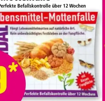 Norma Vandal Lebensmittel-Mottenfalle Angebot